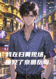 书荒必备我在扫黄现场，撞见了京圈岳母全文章节阅读