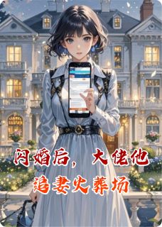 闪婚后，大佬他追妻火葬场小说全章节目录阅读BY毛毛虫的烦恼完结版阅读