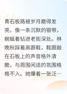老街深处的光小说最后结局，林晚秋陈阳百度贴吧小说全文免费