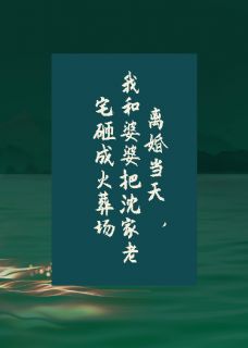 抖音我和婆婆把老宅砸成火葬场小说章节阅读