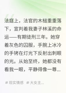 林溪阿伟陈烨我亲手把卧底妻子送进了监狱全章节免费阅读