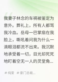 书荒推荐我死后三十天，丈夫才能看见我(林念顾衍沈聿舟)在线试读