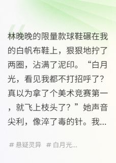 抖音小说循环当天，我把霸凌者锁进美术室林晚晚江澈全文txt
