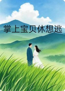 掌上宝贝休想逃小说好看吗 洛一依沈易恒最后结局如何