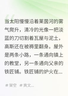 火与铜的童年在线阅读 高斯韦伯免费小说精彩章节