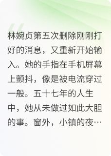 【暮色之约林姨篇】主角(林婉贞周志远)在线阅读