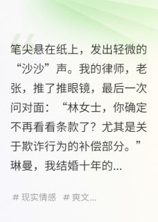 离婚协议，是他们的催命符小说好看吗 琳曼何伟最后结局如何
