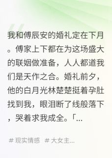 白月光挺孕肚抢婚，我转头承家业完整版-傅斯砚傅辰安林楚楚在线全文阅读