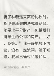 书荒推荐她递来离婚协议，我让她净身出户(林薇陈志强王明)在线试读