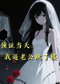 全网首发完整小说领证当天，我逼老公跳了楼主角张浩吴佳妮在线阅读