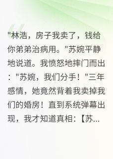 女友卖房救我弟，我分手后悔疯了苏婉林小宇全章节在线阅读