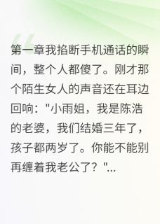 陈浩王雅婷苏芸(原文完整)县城往事：我被信任的人骗了十年无弹窗免费阅读