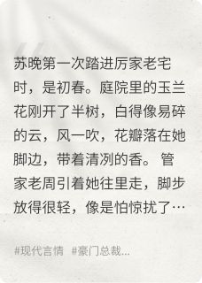 雾里看花，心上雪苏晚厉承爵沈念大结局小说全章节阅读