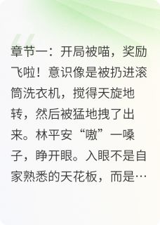 抖音小说【林平安王妖妖】全集免费版在线阅读