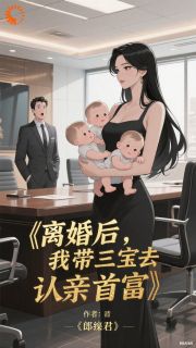 [抖音]小说苏黎闻廷渊离婚后，我带三宝去认亲首富