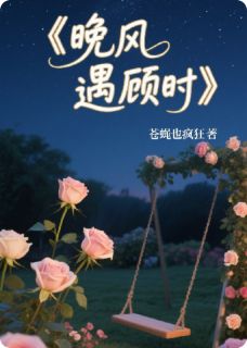 晚风遇顾时免费章节晚风遇顾时点我搜索全章节小说