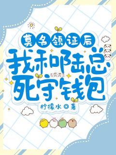 (精品)莫名领证后，我和陆总死守钱包小说