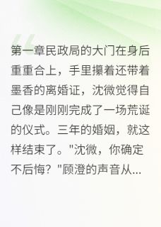 离婚当夜，前夫抓我现行(新书)小说_沈微顾澄阅读