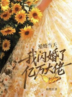 抖音爆款小说退婚当天，我闪婚了亿万大佬万美言天穹免费txt全文阅读