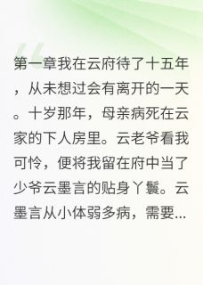 她给少爷当了15年药人小说最新章节-主角云墨言瑶儿苏晴雪全文免费阅读