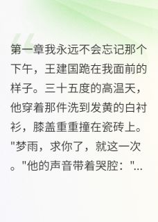 爆款热文梦雨王建华在线阅读-离婚当天我要回33万分手费全章节列表