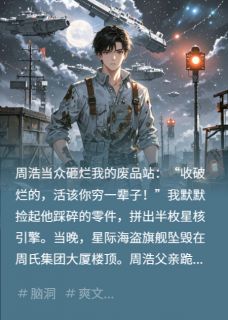 嘲笑我收废品？飞船拆解大师无广告阅读 凌墨周浩免费在线阅读