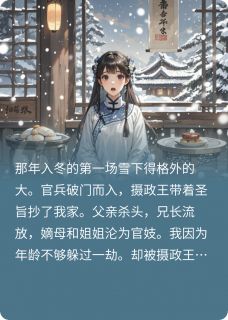 小呆女和摄政王by江临齐王兄长在线阅读