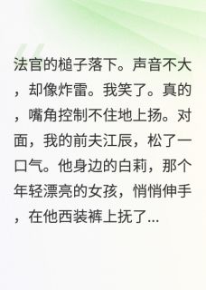财产全归他，患癌的儿子判给了我安安江辰白莉小说完整在线阅读