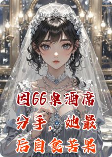 优质新书因66桌酒席分手,她最后自食苦果最新章节小说全文阅读-暗夜阅读网