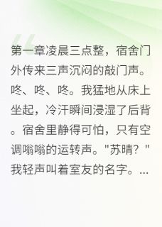 主人公苏晴方小雨林雪小说凌晨三点的敲门声在线全文阅读