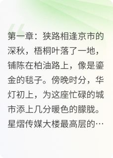 良心推荐星光棋局小说试读