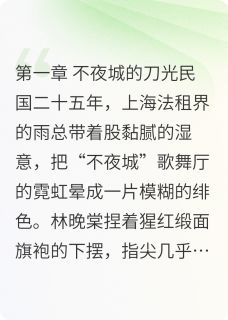 主角是沈砚冰林晚棠的小说-暗夜繁花下的破局完整章节阅读