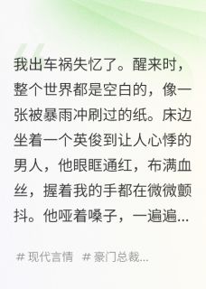 书荒推荐失忆后，我被死对头骗回了家(沈言林旭)在线试读