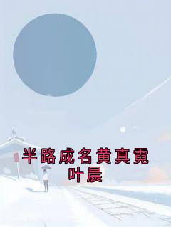 黄真霓叶晨半路成名黄真霓叶晨小说完整版