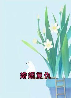 婚姻复仇小说(完整版)-舒雅姜宏章节阅读
