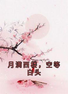 巴黎在逃圣母的小说月满西楼，空等白头主角是陆丰谢灵儿