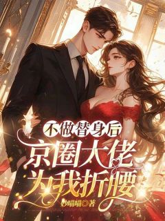 (抖音小说)沈书欣言司礼小说全文阅读免费