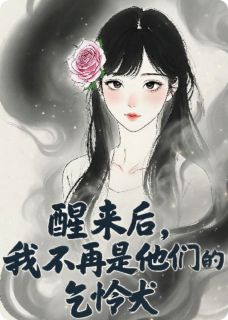 值得熬夜看完的醒来后，我不再是他们的乞怜犬小说阅读-暗夜阅读网
