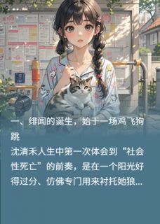 阿姨们，我们真的在谈了！沈清禾陆时免费全章节目录阅读