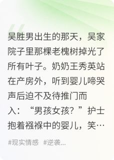 抖音小说【胜男王秀英吴耀祖】全集免费版在线阅读