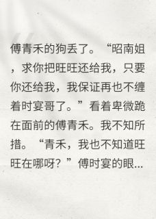 傅时宴傅青禾章节免费阅读