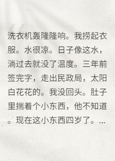 好文热推小说离婚带球跑，球他爹追来了主角龙龙程屿全文在线阅读