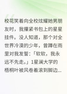 星星落在慢半拍的世界里小说在线阅读，主角顾屿夏星晚精彩段落最新篇-暗夜阅读网