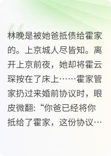 (热推新书)协议婚姻后她跑了林晚霍云琛无弹窗阅读