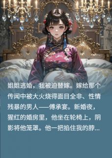 傅承宴沈清浅小说替嫁老公，我反手送他白月光入狱完整章节-暗夜阅读网