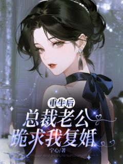 重生后，总裁老公跪求我复婚(陆沉风傅司砚)全文章节在线阅读