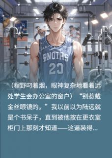 程野陆远是什么小说免费版阅读抖音热文