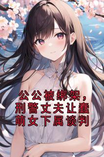 主角赵刚菲菲小说爆款公公被绑架，刑警丈夫让蠢萌女下属谈判完整版小说