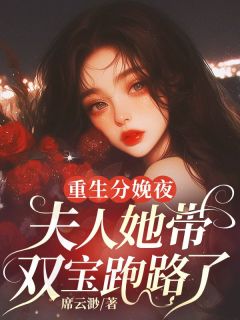 精品小说重生分娩夜，夫人她带双宝跑路了全文目录畅读