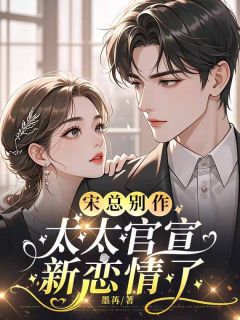 熬夜也要看完的宋总别作，太太官宣新恋情了小说推荐